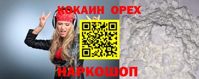 гашик Гусев