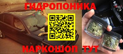 гашик Гусев