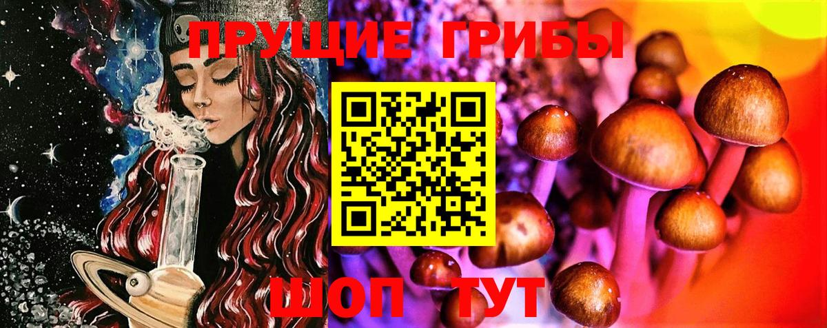 Назрань  наркота  Вход с VPN  Галлюциногенные грибы прущие грибы  Псилоцибиновые грибы мухоморы 