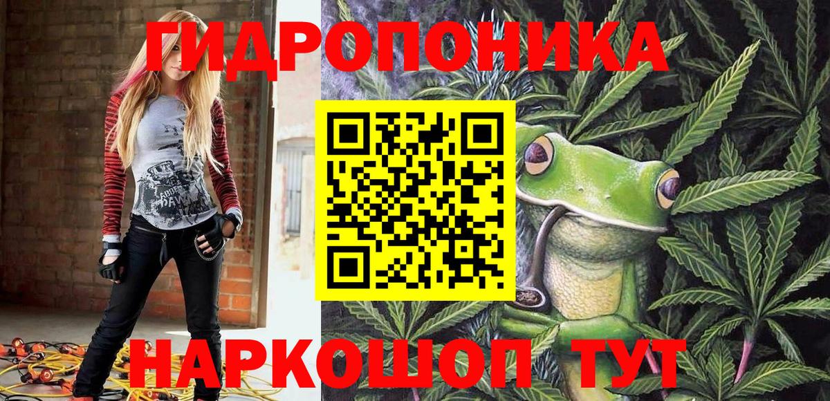 Назрань  Канабис сатива  Вход с VPN  Бошки марихуана конопля  Канабис марихуана 